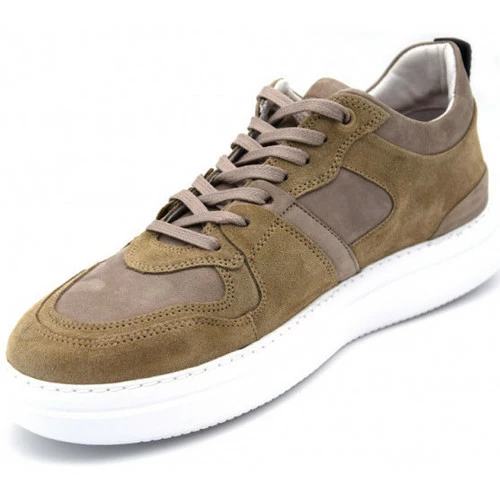 Blackstone wg70 Couleur Beige – Image 3